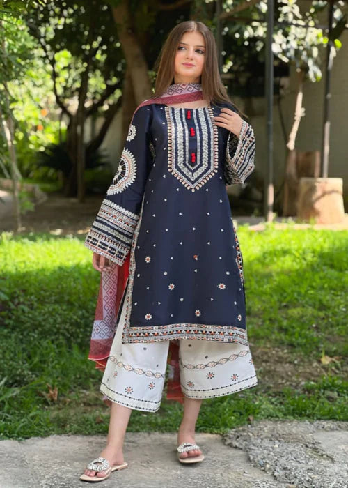 Ammara Emb 3pcs