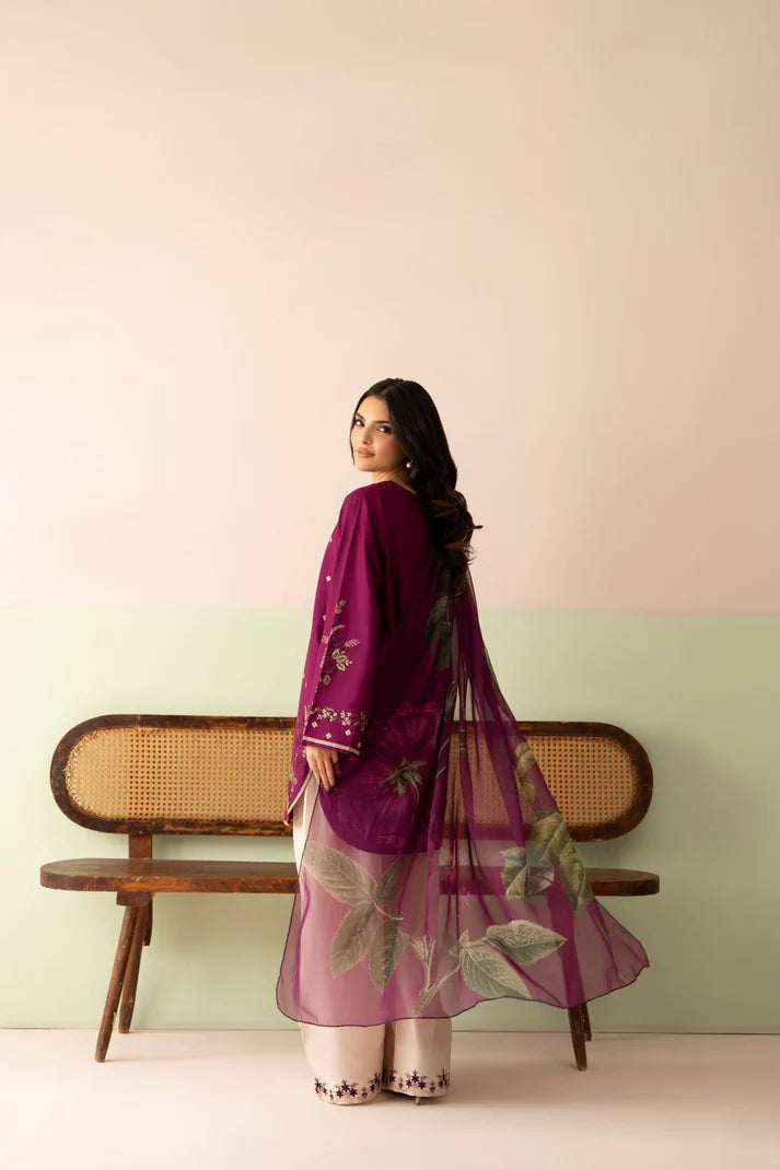 Raniya 3 Piece